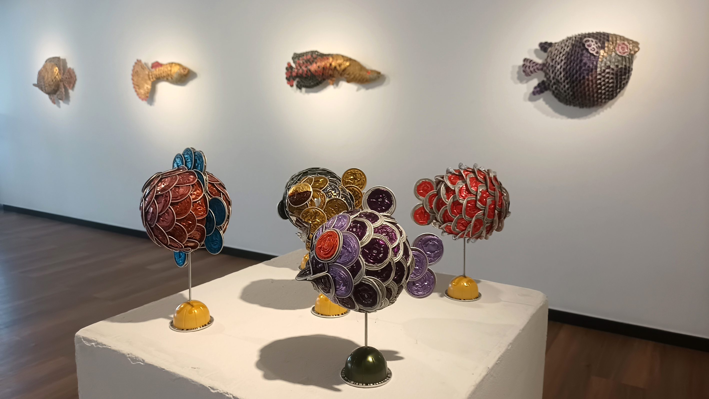 IMG_20240821_120124529 copy.jpg