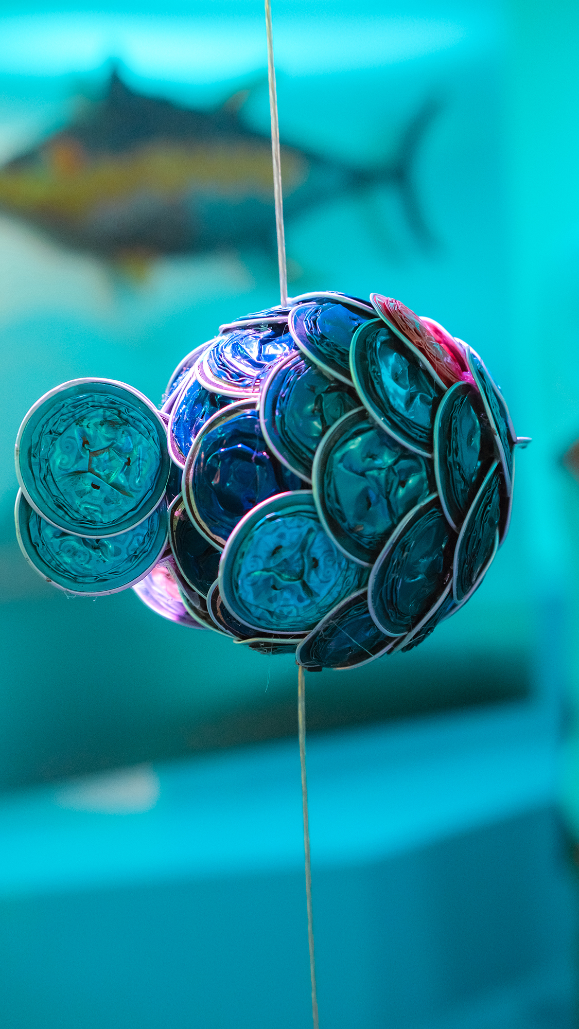 vernissagem luis_ccal-83.jpg